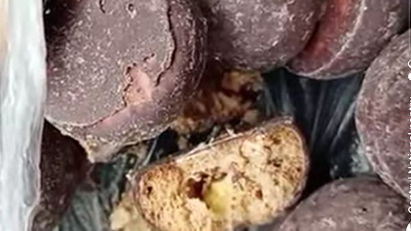 VIDEO/ Stau în vitrină până se vând - biscuiți cu viermi comercializați într-un magazin din Ungheni