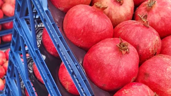 Peste două tone de rodii, blocate la vamă de inspectorii ANSA. Iată ce s-a depistat în ele