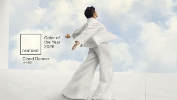 Care este culoarea anului 2026: Institutul Pantone anunță ce semnificație are nuanța aleasă