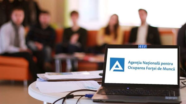 Peste 20 de mii de persoane și-au găsit un loc de muncă cu suportul ANOFM. Vezi în ce domenii au fost angajate