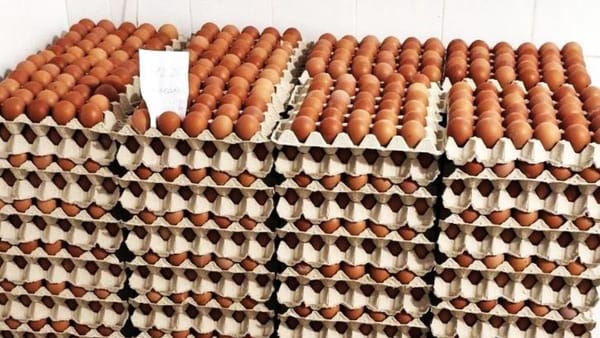 Ouă contaminate cu antibiotice interzise, retrase din magazine.  ANSA recomandă returnarea produselor