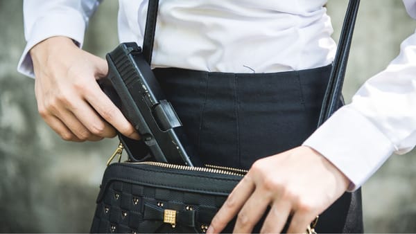 Parlamentul înăsprește regulile pentru armele civile: evidență digitală obligatorie și controale mai stricte