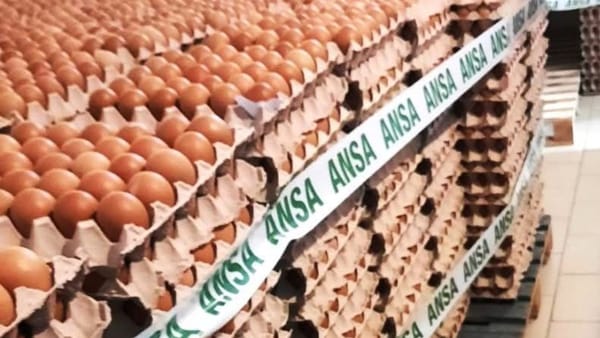 Peste 130 de mii de ouă, scoase de pe rafturi și distruse sub supravegherea ANSA