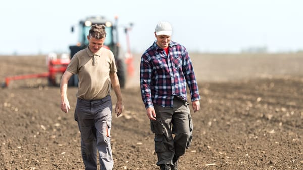 Fermierii afectați de calamități primesc un răgaz: Guvernul suspendă executările silite pentru 12 luni