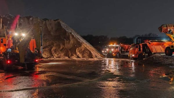 Serviciile municipale, mobilizate în această noapte pentru intervenții în urma ninsorii și a vântului puternic