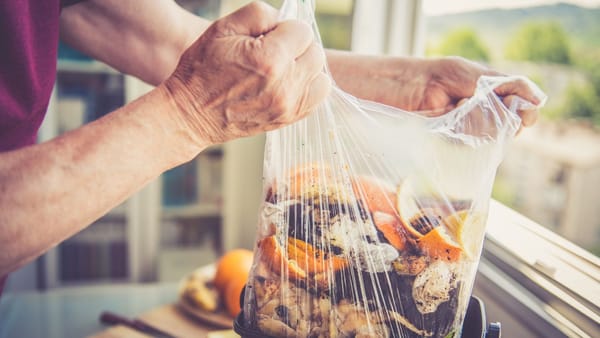 Bani aruncați la gunoi: risipa alimentară atinge cote maxime în perioada sărbătorilor