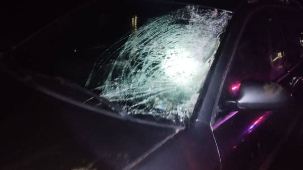 Tragedie în raionul Ungheni. Un bărbat în vârstă de 48 de ani a fost tamponat mortal la intrarea în satul Mircești