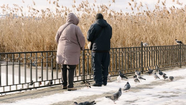 Gerul se îmblânzește de Anul Nou pe stil vechi, dar cerul rămâne noros în toată țara