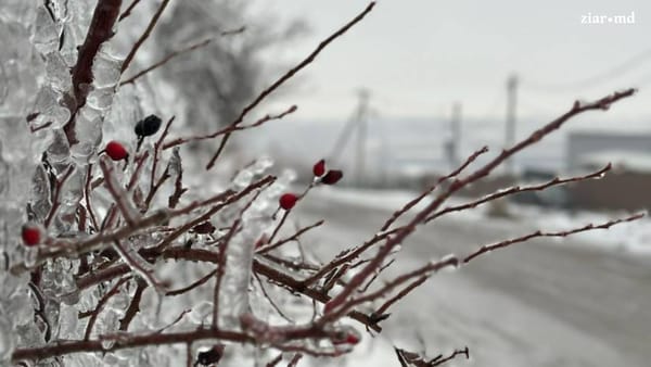 Cod galben de ghețuș, polei și scăderea temperaturii în toată țara. Avertismentul, valabil în zilele de 30 și 31 ianuarie