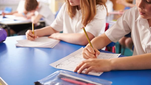 Școlile pot trece temporar la lecții online din cauza poleiului. Recomandare de la Ministerul Educației