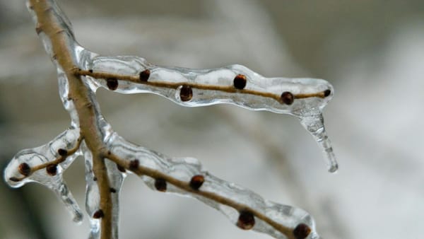 Start de săptămână cu vreme instabilă și precipitații. Prognoza meteo pentru luni