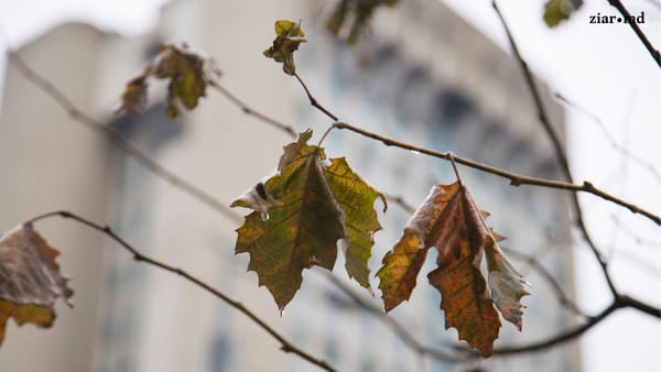 Meteorologii anunță o nouă zi cu ceață și polei. Cum va fi vremea astăzi în Republica Moldova?