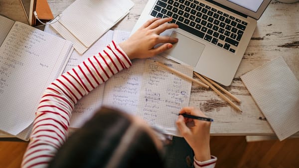 Condițiile meteo dau peste cap programul școlar și în regiunea transnistreană. Școlile și universitățile vor fi închise luni