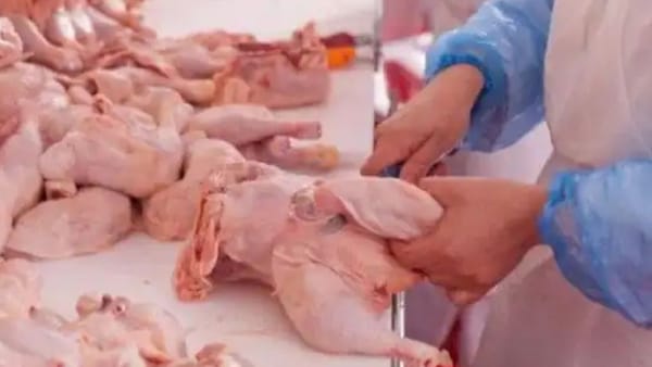 Suspendarea temporară a importurilor de carne de pasăre din Ucraina va genera deficit pe piață?  Precizările MAIA