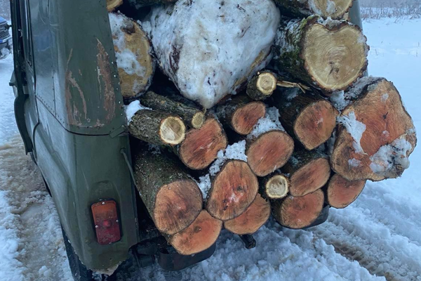 Transport ilegal de masă lemnoasă, descoperit la Ocnița