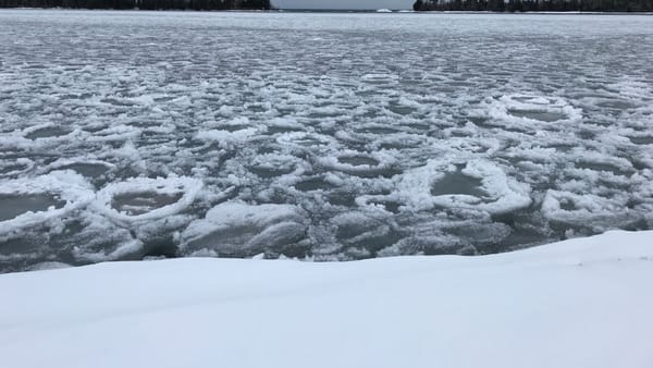 Gheața de pe Prut și Nistru poate fi periculoasă! Meteorologii avertizează asupra riscurilor hidrologice