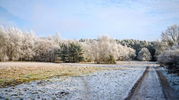 Prognoza meteo pentru astăzi, 7 ianuarie: ceață, polei și Cod galben de ghețuș în toată țara