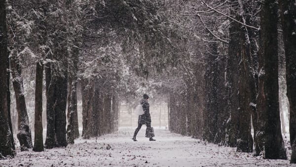 Astăzi va ninge în cea mai mare parte a R. Moldova. Izolat se așteaptă lapoviță și cer noros