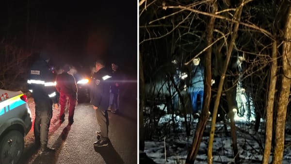 Tăiere ilegală de copaci la Nihoreni. Un bărbat a fost prins în pădure la miez de noapte