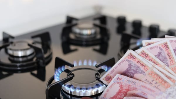 Noile tarife la gazele naturale, în așteptare. Ce spune șeful Energocom despre recalcul