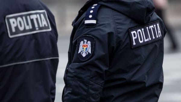 Oseminte umane descoperite în timpul lucrărilor de construcție într-o gospodărie din Coșnița