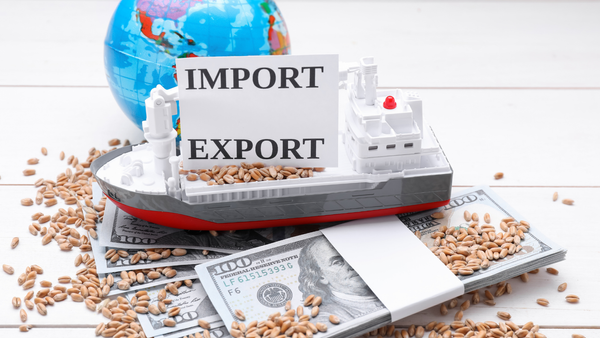 Bilanțul comerțului exterior: între optimism pentru exportatori și provocări pentru consumatori