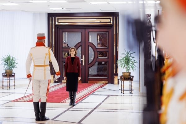 Nouă ambasadori și-au prezentat scrisorile de acreditare la Președinție