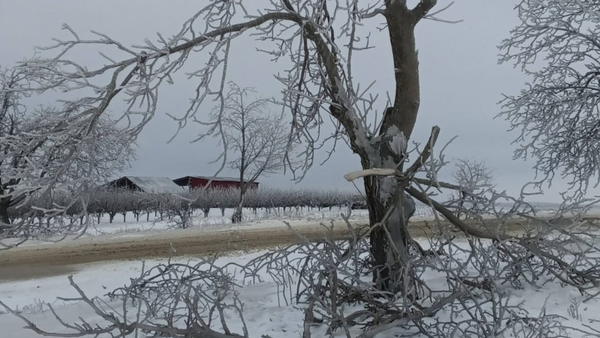 Peste 2.000 de consumatori rămân fără energie electrică din cauza condițiilor meteorologice nefavorabile