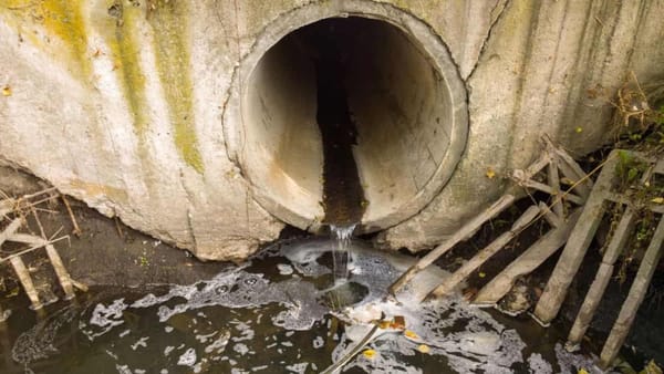 Administratorul unei întreprinderi municipale din Anenii Noi, trimis în judecată pentru poluarea râului Bîc