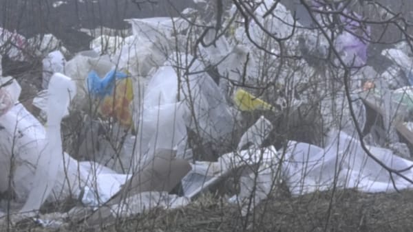 FOTO/ Pungi din polietilenă, împrăștiate pe zeci de hectare din Căușeni