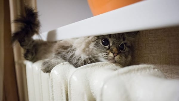 Au intrat în vigoare noile tarife la energia termică: Reduceri în centru și sud, majorări în nord