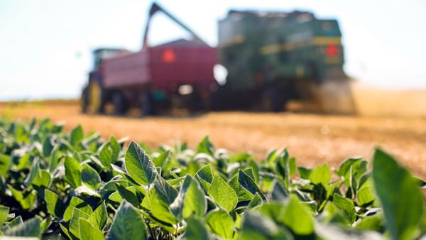 Schimbări în agricultură. Vor fi colectate și date sociale și ecologice, nu doar financiare