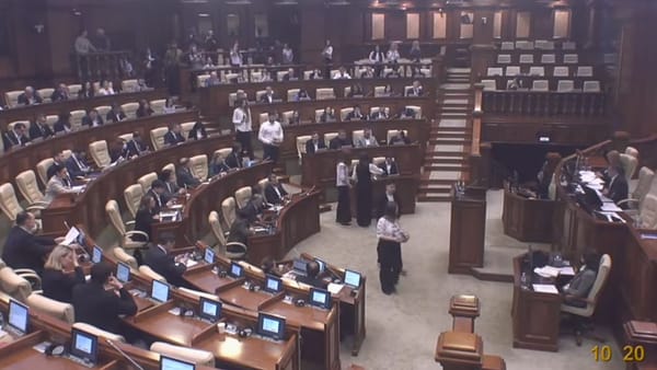 VIDEO/ Mărțișoare împărțite în plenul Parlamentului. Mesaj despre speranță și solidaritate, rostit de Ludmila Adamciuc