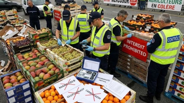 Produsele agroalimentare moldovenești, fără restricții la export în Franța. ANSA oferă clarificări