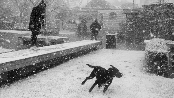 Guvernul anunță măsuri speciale pe fondul avertizărilor de vreme rea. Ce spune premierul