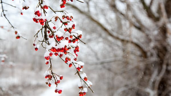 Duminică se schimbă vremea în toată țara. Se așteaptă ploi, lapoviță și vânt puternic