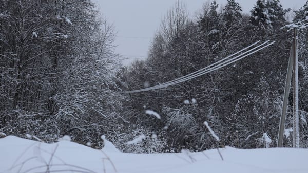 Pericol de fire electrice căzute. Cum acționăm în caz de electrocutare