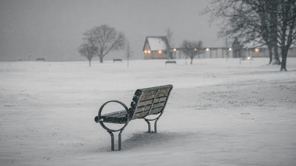 Se anunță ninsori și vânt puternic pe 18 februarie! Sudul și centrul țării, cele mai afectate