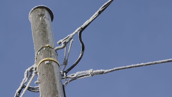 Poleiul a provocat avarii pe liniile electrice. Peste 2.400 de consumatori au rămas temporar fără curent