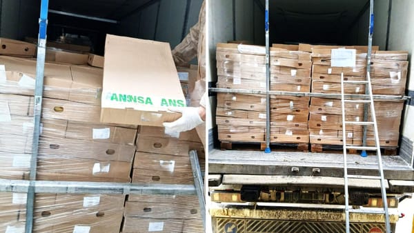 21 de tone de carne de pui cu Salmonella, blocate la frontieră înainte de a ajunge pe piața din R. Moldova