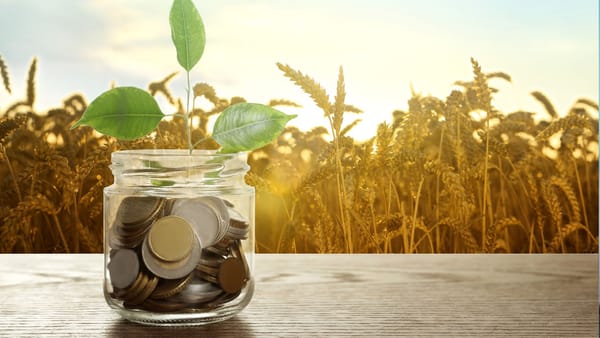 Investiții în agricultură: plăți aprobate pentru tehnologie, irigare și infrastructură - suma alocată