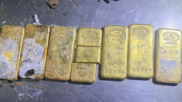 VIDEO/ Șapte lingouri de aur, depistate la Leușeni: prejudiciu estimat la circa 19 milioane de lei