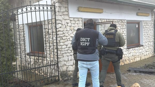 VIDEO/ Export ilegal de vinuri cu marcă franceză: schema identificată de autorități