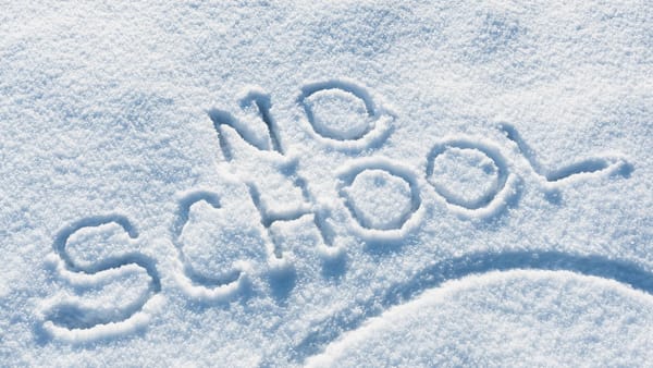 Clarificări oficiale privind zilele libere plătite pentru părinți: cine suportă cheltuielile când școlile sunt închise