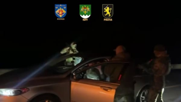 9.000 de euro pentru un drum ilegal spre România: patru inculpați ajung pe banca acuzaților