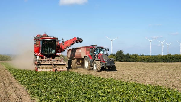 Plăți post-investiționale și alte subvenții: AIPA alocă aproape 600 de milioane de lei fermierilor