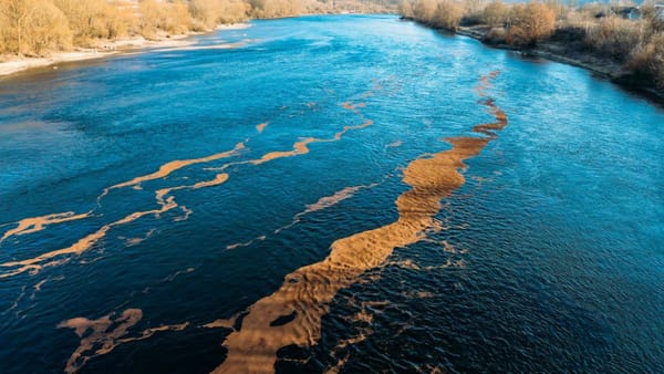 Dosar penal după poluarea râului Nistru: Procuratura Generală investighează cazul