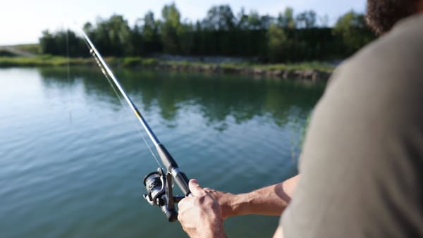 Din 1 aprilie, pescuitul va fi interzis în aproape toate apele din țară