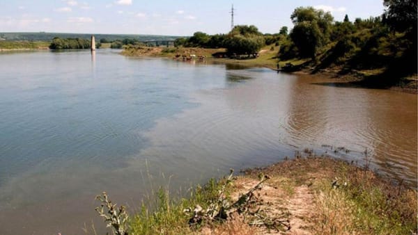 Urme de petrol depistate în Nistru: ce arată rezultatele de laborator