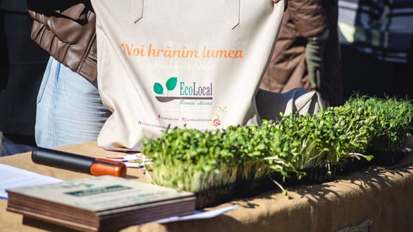 În trei sectoare ale capitalei sunt organizate târguri și iarmaroace. Lista locațiilor